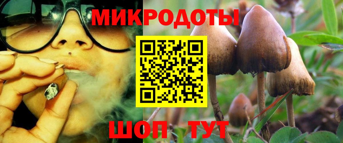 Псилоцибиновые грибы ЛСД  Псилоцибиновые грибы мицелий  Сегежа  Вход с VPN 